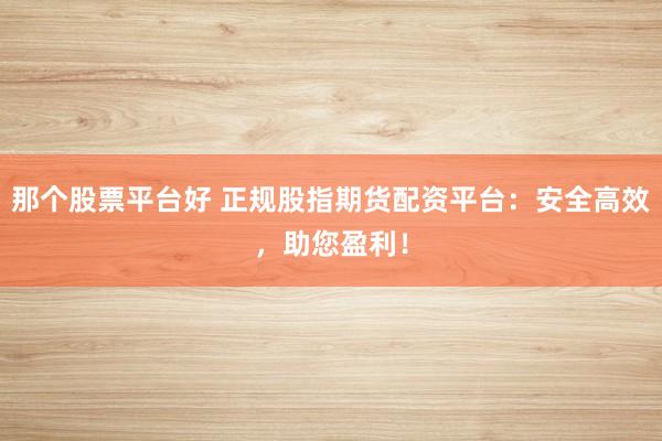 那个股票平台好 正规股指期货配资平台：安全高效，助您盈利！