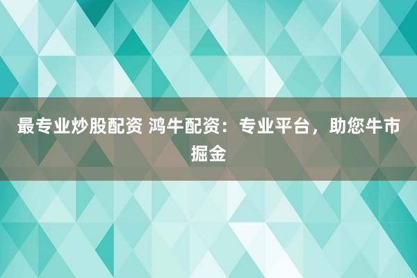 最专业炒股配资 鸿牛配资：专业平台，助您牛市掘金