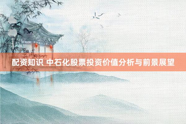 配资知识 中石化股票投资价值分析与前景展望