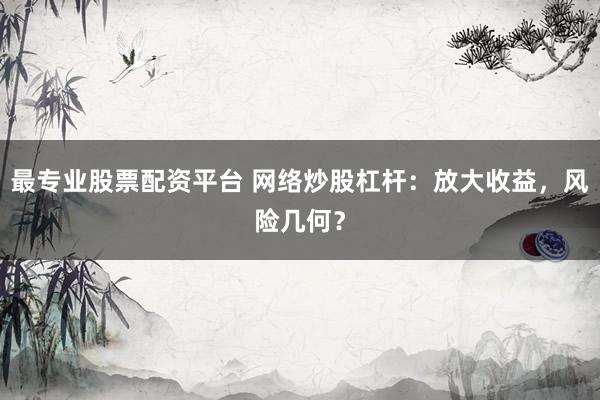 最专业股票配资平台 网络炒股杠杆：放大收益，风险几何？