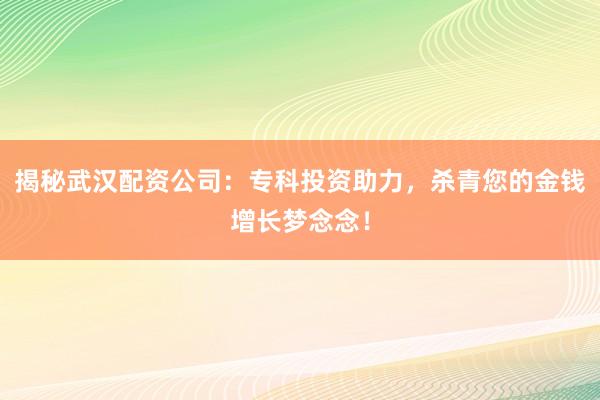 揭秘武汉配资公司：专科投资助力，杀青您的金钱增长梦念念！