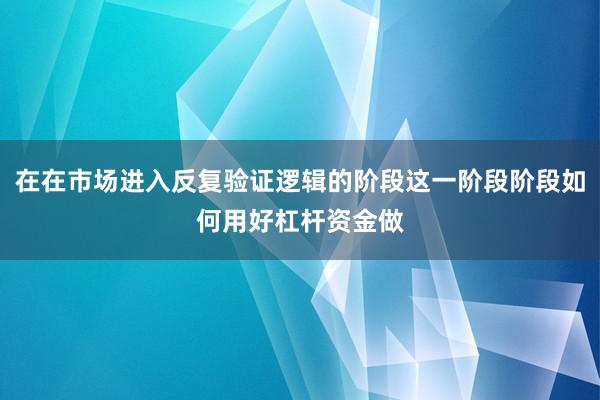 在在市场进入反复验证逻辑的阶段这一阶段阶段如何用好杠杆资金做