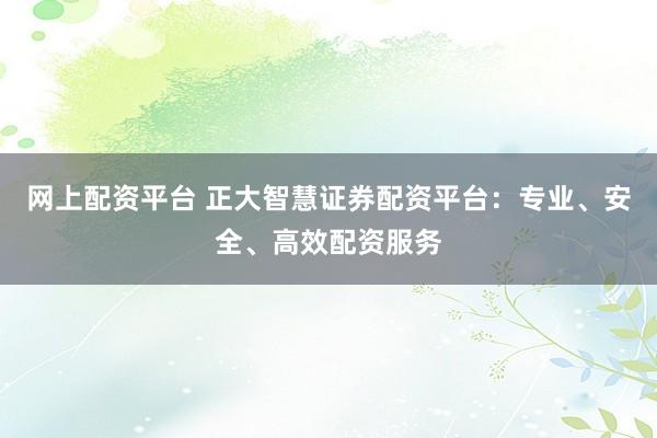 网上配资平台 正大智慧证券配资平台：专业、安全、高效配资服务